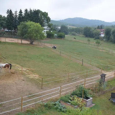 Sauers Schwarzwaldglueck