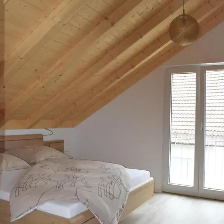 Apartment Sauers Schwarzwaldglueck Appenweier