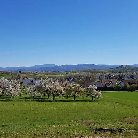 Sauers Schwarzwaldglueck Apartamento *