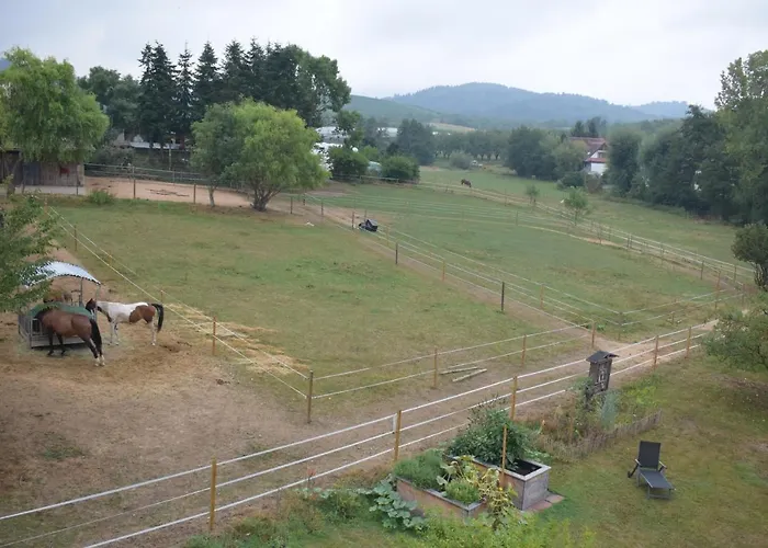 Sauers Schwarzwaldglueck