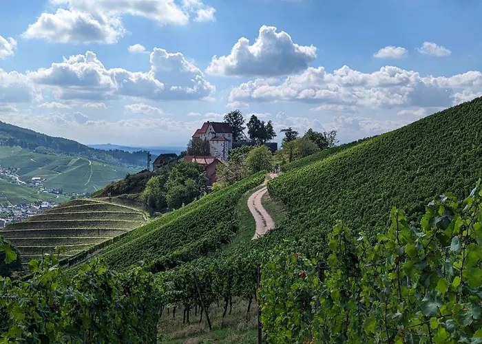 Sauers Schwarzwaldglueck