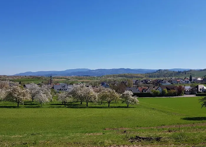 Sauers Schwarzwaldglueck アパート *